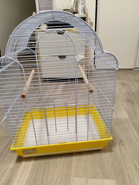 Une cage d'oiseau 30 06200 Nice