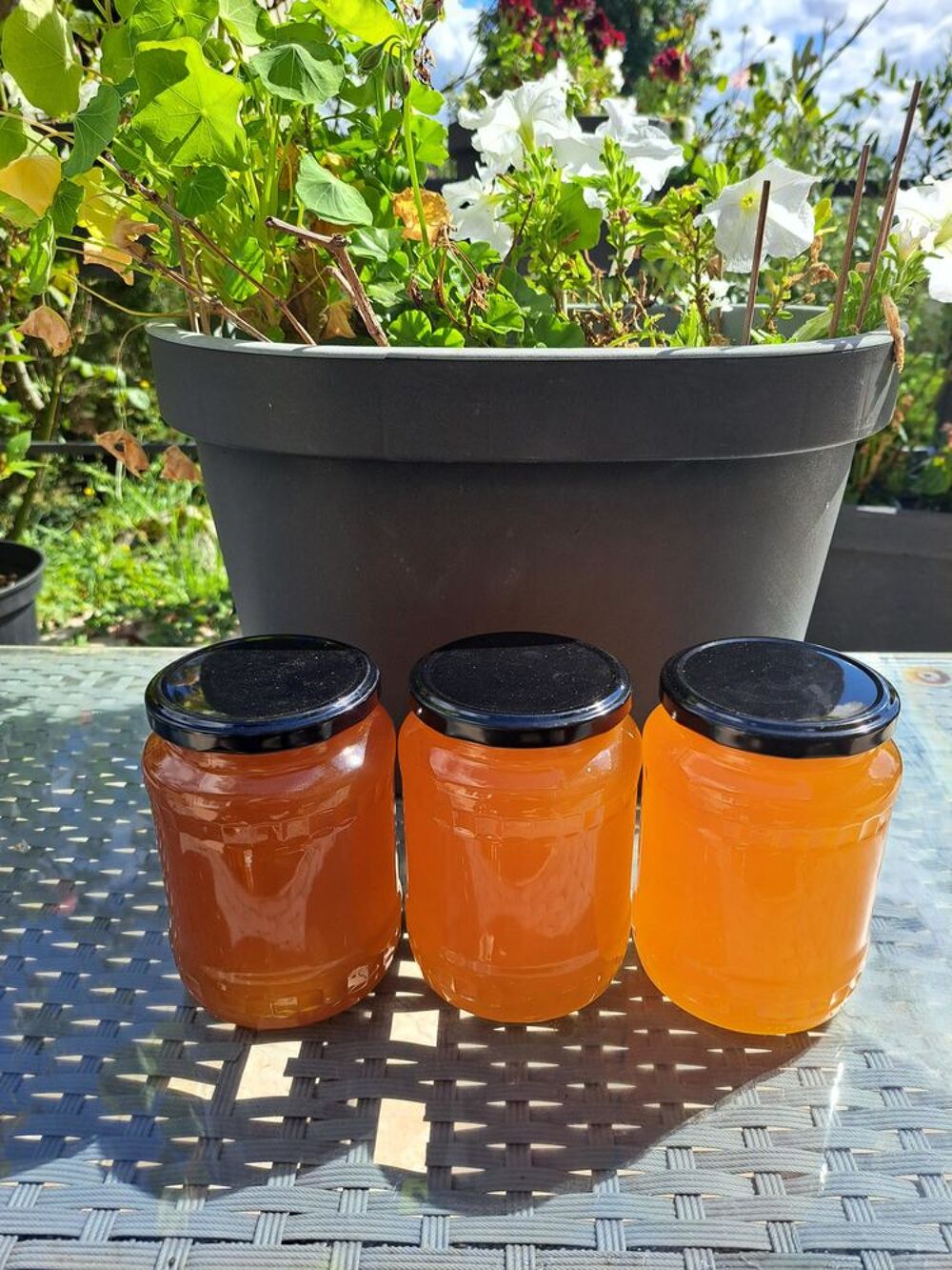 MIEL FLEURS D'&Eacute;T&Eacute; POTS 1 KG Jardin