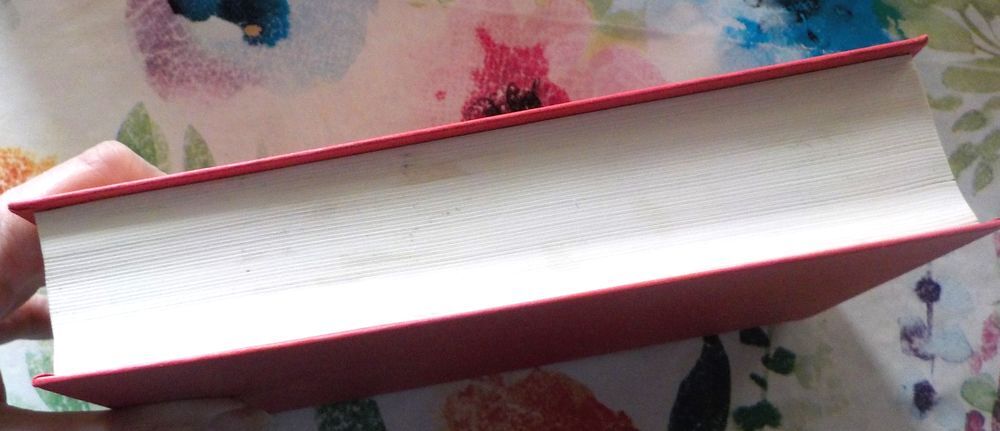 UN BONHEUR TROP FRAGILE de Penny VINCENZI Ed. France Loisirs Livres et BD