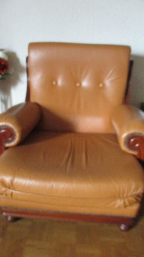 fauteuil 40 Genas (69)