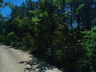  Terrain � vendre 10000 m�