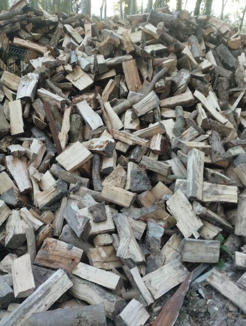 BOIS DE CHAUFFAGE/FRENE 65 Voipreux (51)
