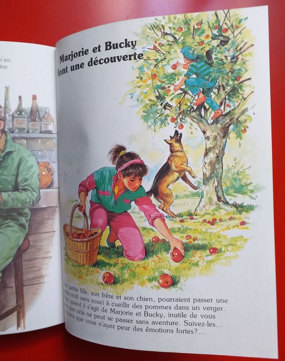MARJORIE et BUCKY Vive l'aventure (8 titres) Hemma &eacute;ditions Livres et BD