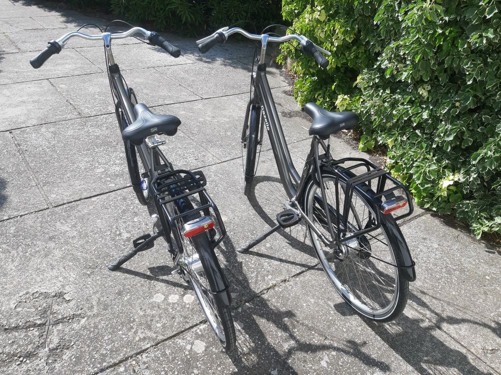 2 v&eacute;los gazelle Vélos