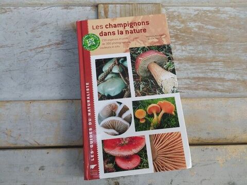 Livre Delachaux et Niestlé Les Champignons dans la Nature 
Paris 1 (75)