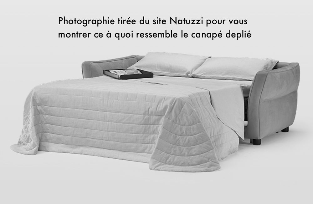Canap&eacute; convertible gris Natuzzi Meubles