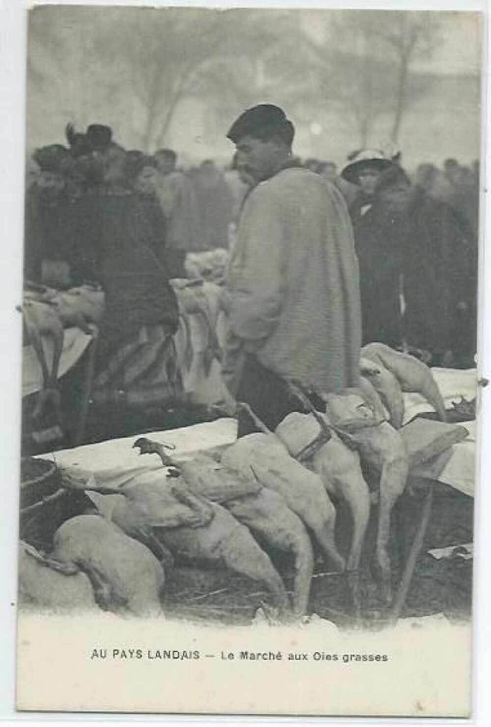Le march&eacute; aux oies grasses 