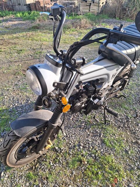 Moto BULLIT 2023 occasion La Gu&eacute;rini&egrave;re 85680