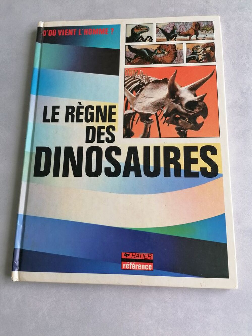 3 livres enfant Les dinosaures Livres et BD