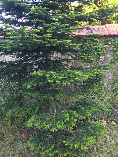   Studio en rdc proche gare dans maison bourgeoise loyer 750  Appartement - 1 pice(s) - 22 m