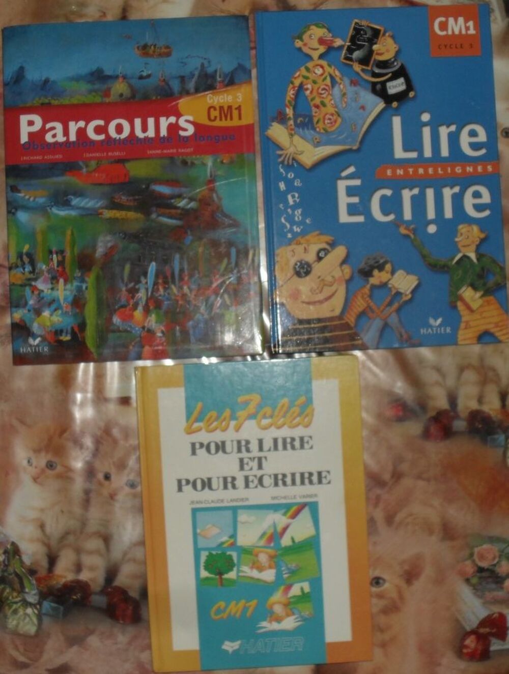 3 livres Lecture cycle3 CM1 NEUFS Editeur Hatier. Livres et BD