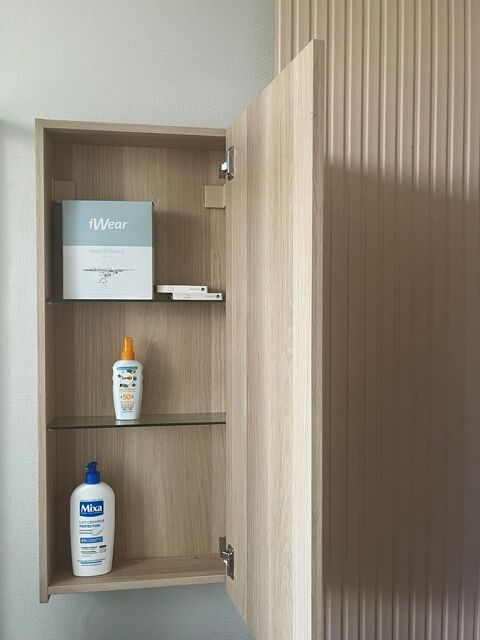 Placard WC Salle de bain 35 Roanne (42)