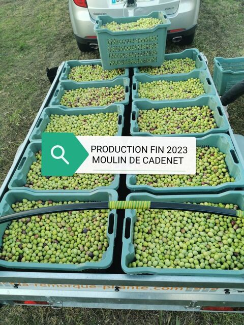 Huile d'olive fruit vert bio du Vaucluse 16 Saint-Savournin (13)