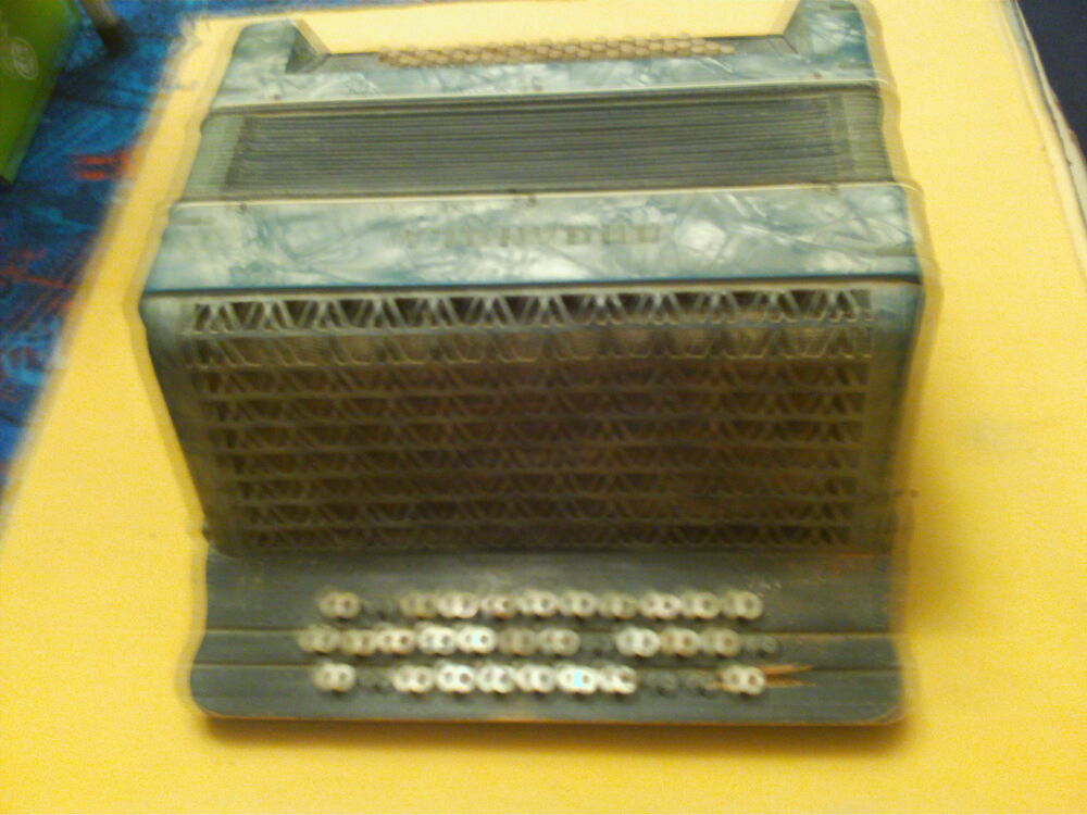 ACCORDEON VINTAGE Instruments de musique