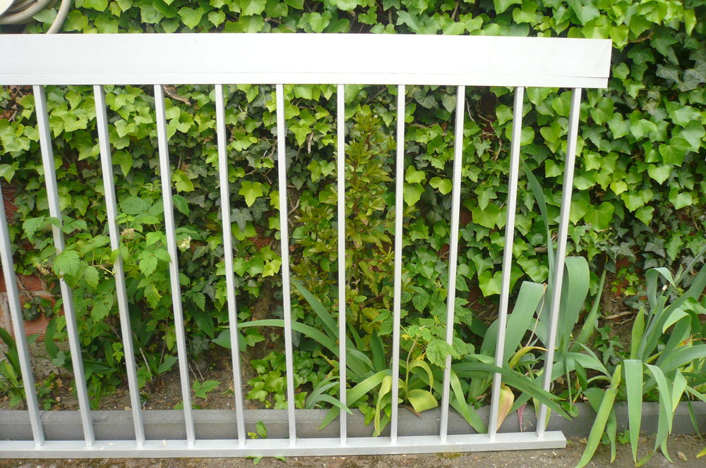 Garde-corps, barri&egrave;re, balustrade en aluminium Jardin