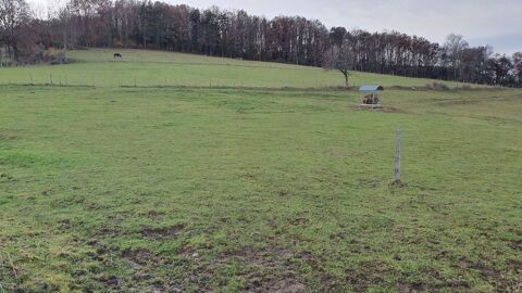 Pension chevaux 69490 Ancy
