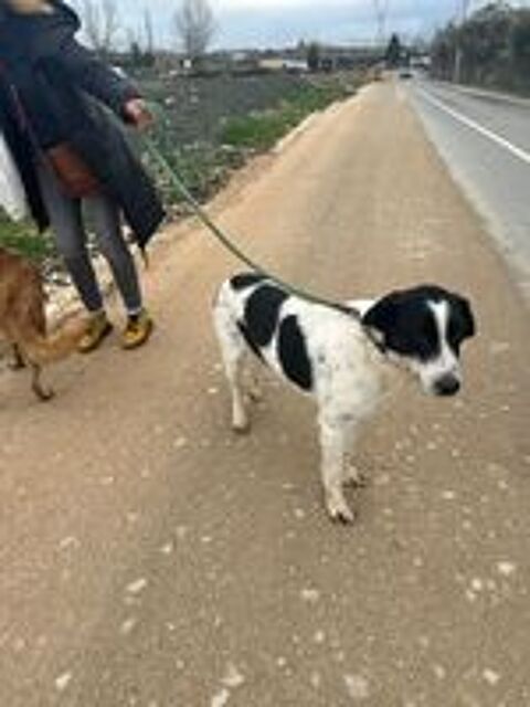   JACKY SE TROUVE DANS UN REFUGE EN ALBANIE 