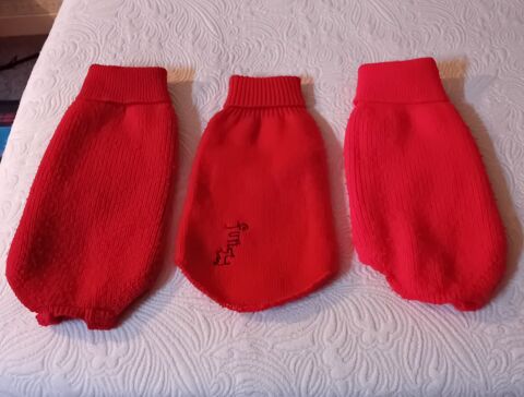 Manteau pour petit chien 5 44300 Nantes