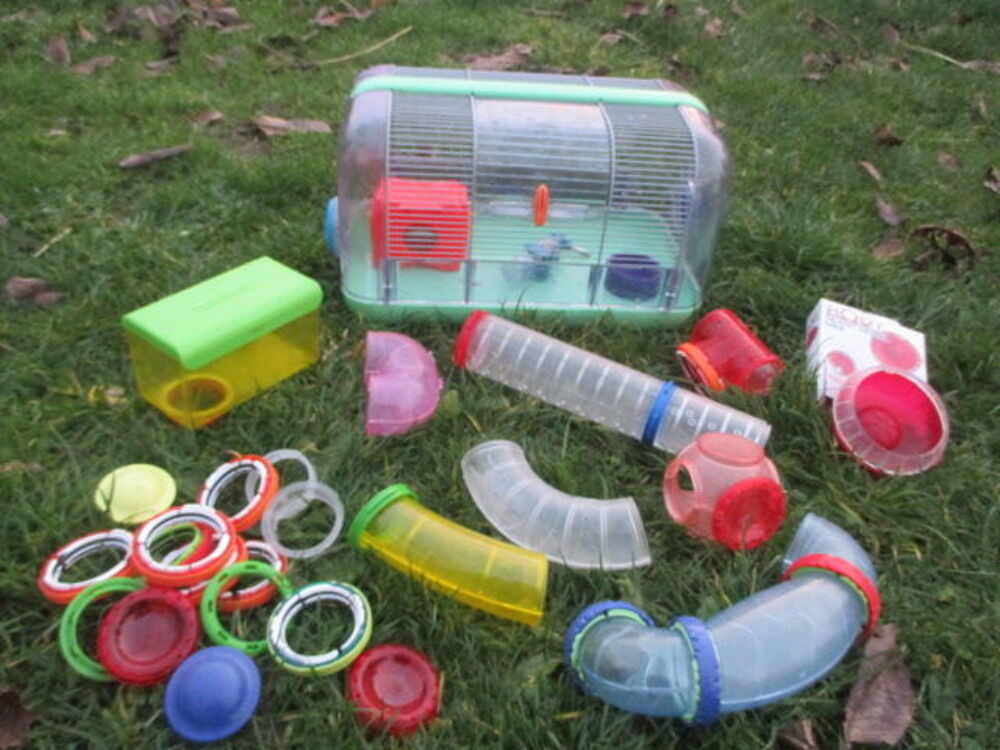   cages pour petit rongeur 