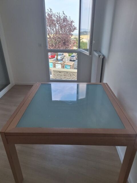 TABLE  110 X 110 OU 110 X 220 Craponne (69)