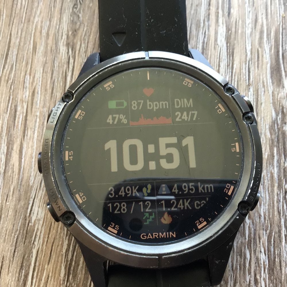 Achetez montre garmin fenix occasion annonce vente Toulouse 31