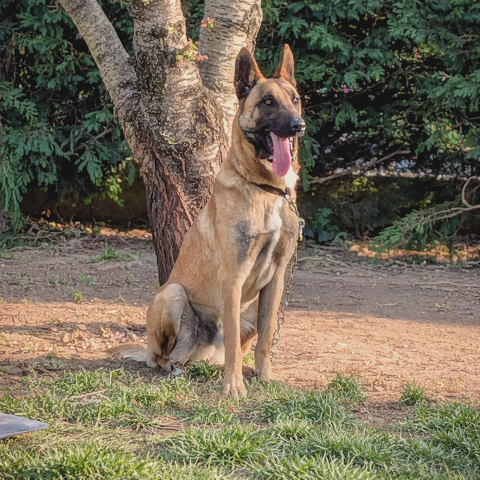 Cusco 300 26100 Romans-sur-is�re