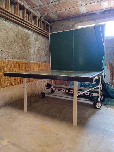 Table de ping-pong ext�rieure P�lissanne (13)