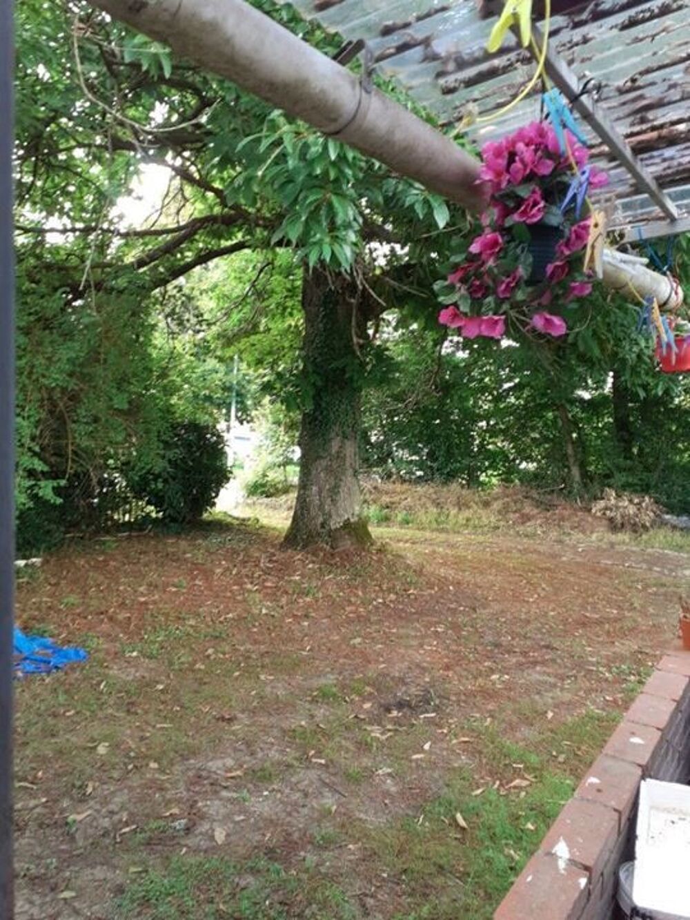 Vente Maison Maison de plain pied - 42m � Vijon