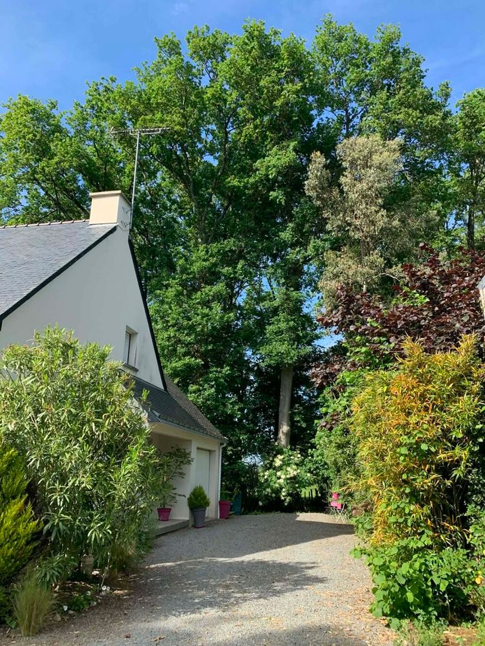 Vente Maison Maison  7 pieces avec 2 sdb Saint-lyphard
