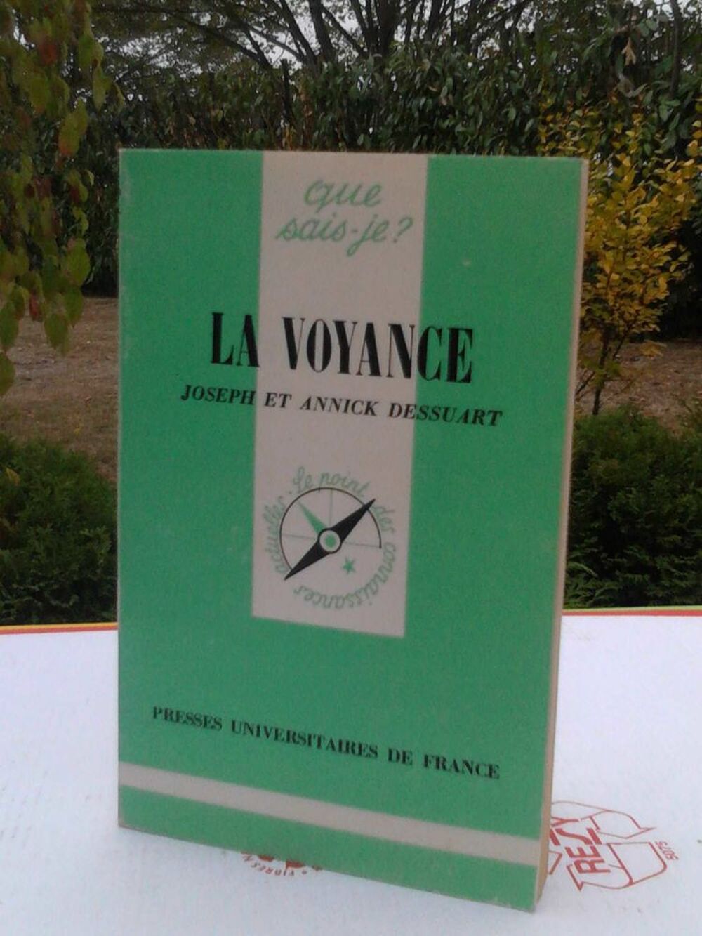Livre : la voyance Livres et BD