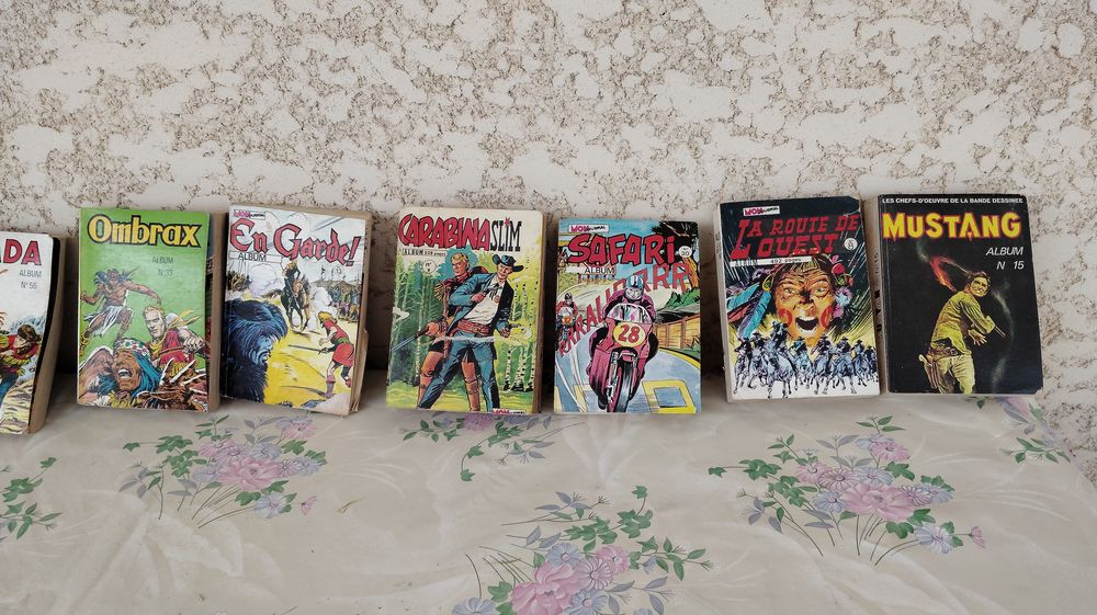 Divers 46 Albums Bandes Dessin&eacute;es Livres et BD