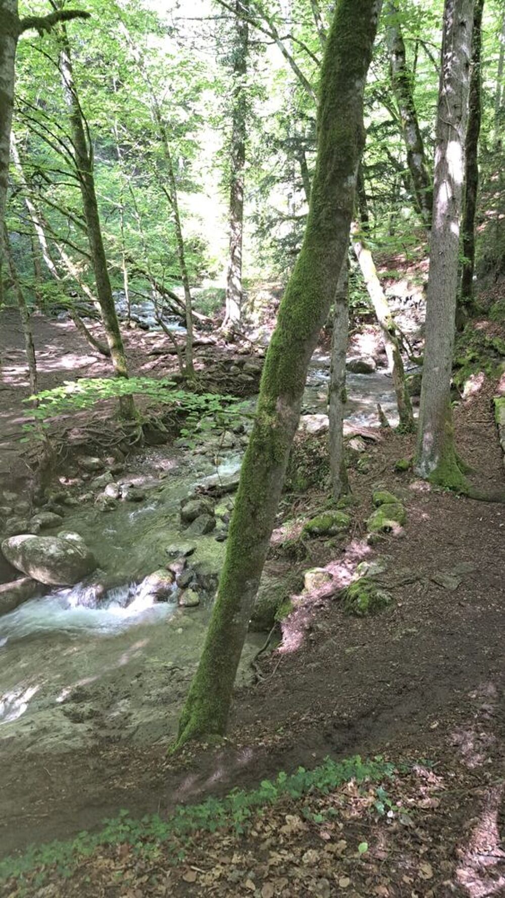 Vente Terrain Terrain de loisir bordé par un ruisseau Les artigues-de-lussac
