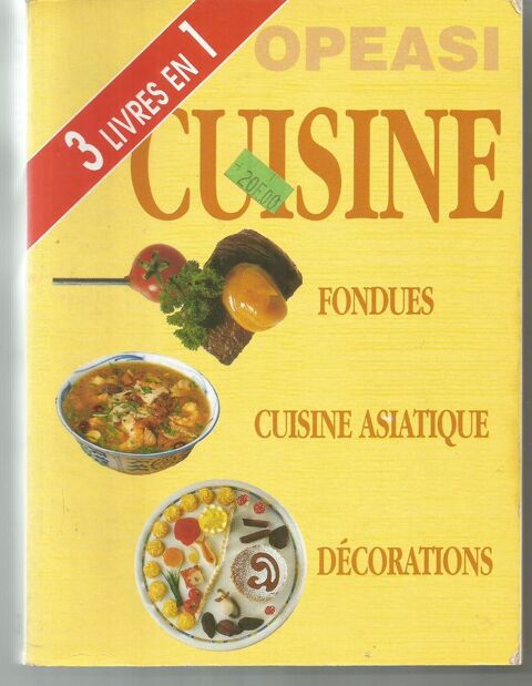 3 livres de cuisine en 1 : fondues, cuisine asiatique, décorations 5 Montauban (82)