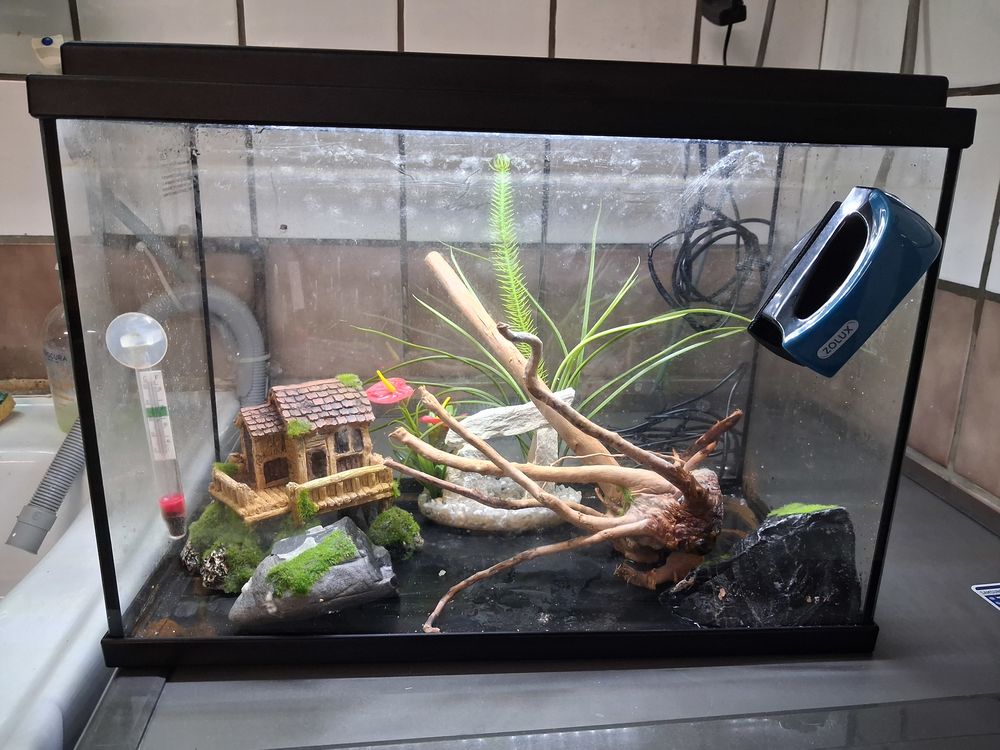   Aquarium état neuf complet 