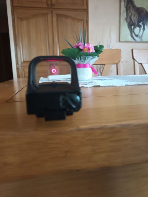 Viseur point rouge 110 Villebrumier (82)