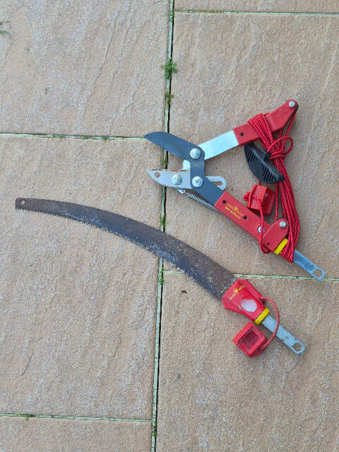 ECHENILLOIR WOLF 100 Saint-Dolay (56)