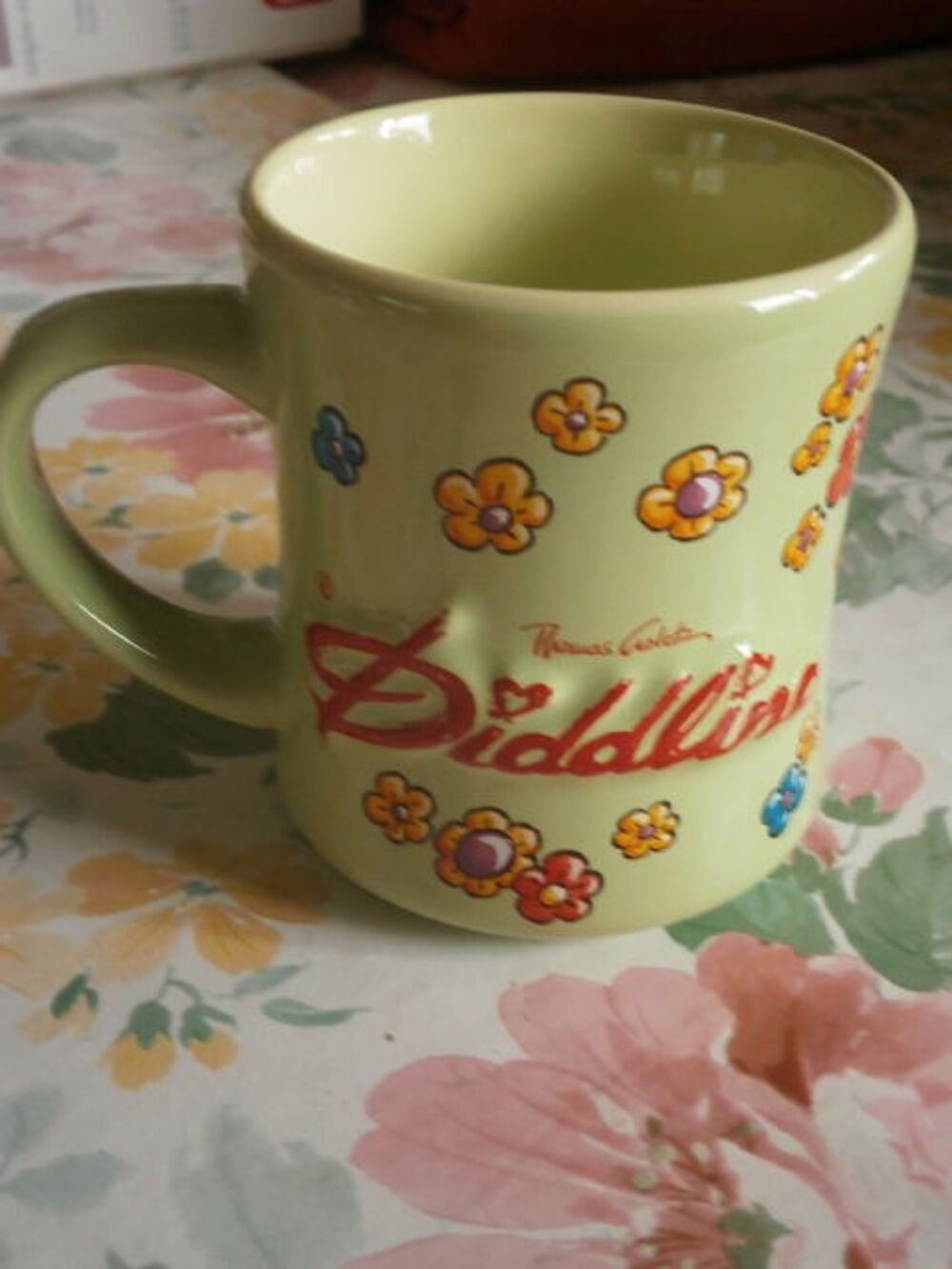 Mug DIDDLINA vert DIDLL Cuisine