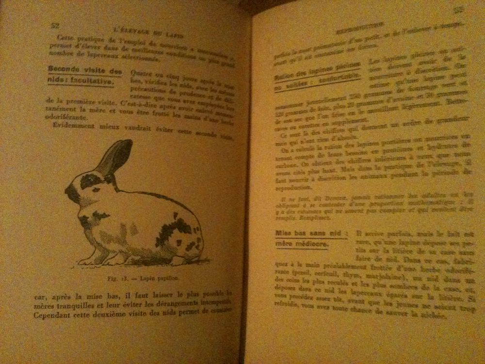 LISSOT G., L'&eacute;levage Du Lapin, Flammarion, 1941, 93 p. Livres et BD