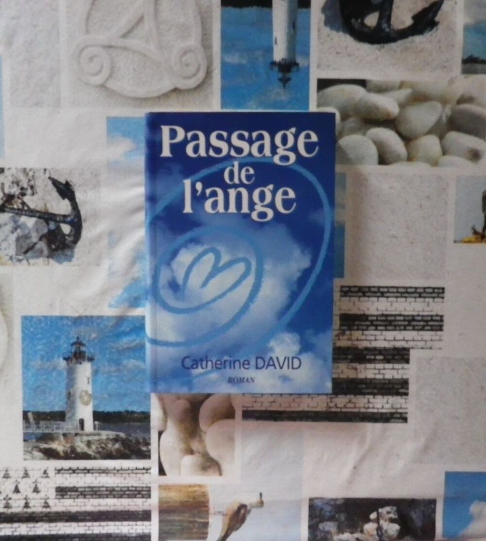 PASSAGE DE L'ANGE de Catherine DAVID Le Grand Livre du Mois Livres et BD