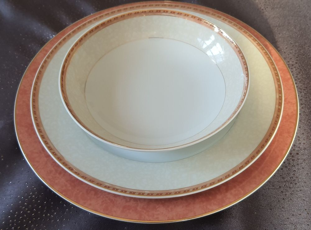 Service R&eacute;my Delini&egrave;res 80 pi&egrave;ces Porcelaine de Limoges Décoration