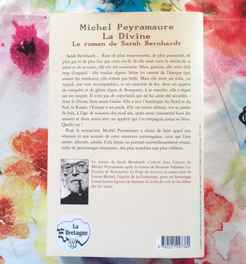 LA DIVINE Le roman de Sarah Bernhardt de Michel PEYRAMAURE Livres et BD