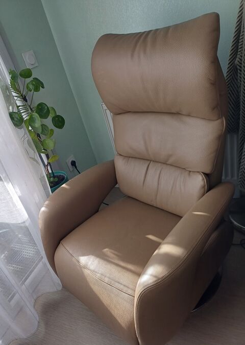 Fauteuil relaxation haut de gnamme 750 Canjan (33)