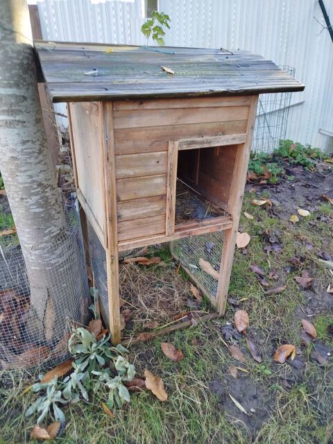 Abri pondoir pour poules ou niche pour autres animaux 30 62138 Haisnes