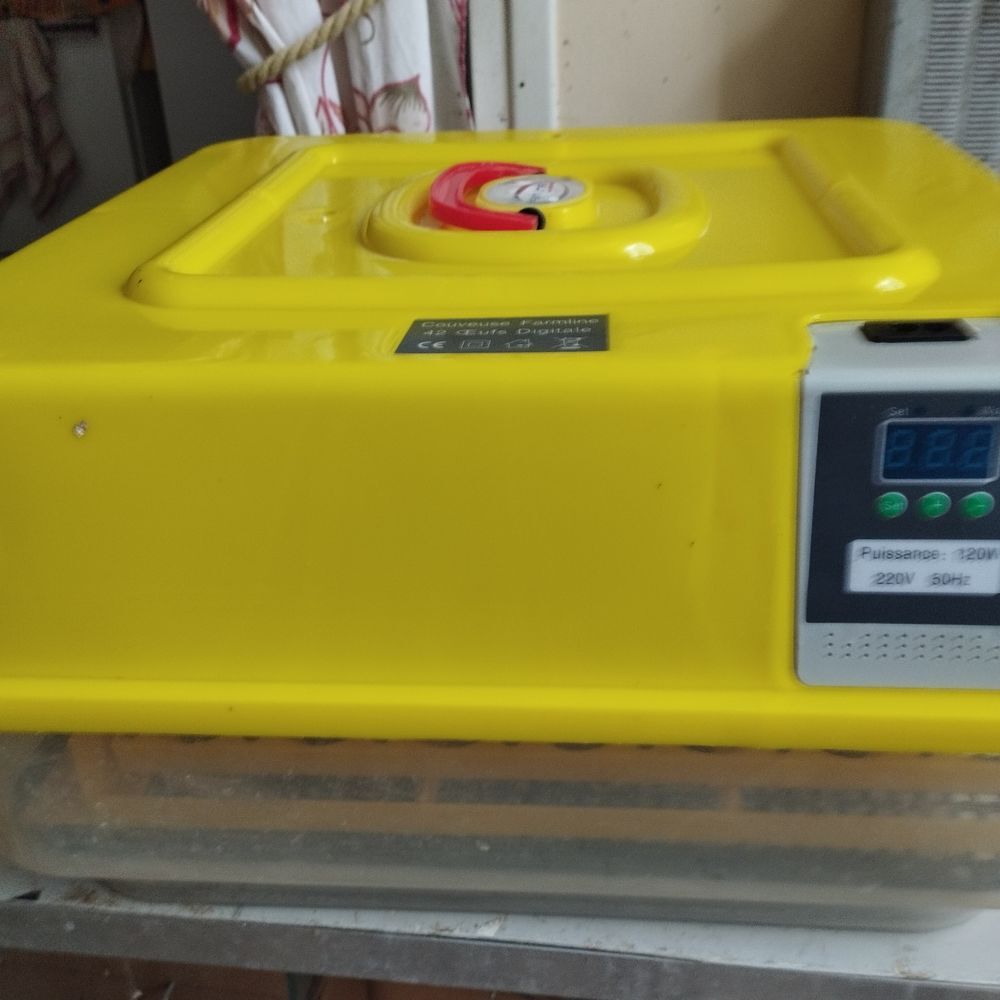 couveuse automatique Bricolage