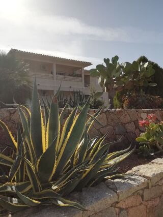 Location  Appartement 