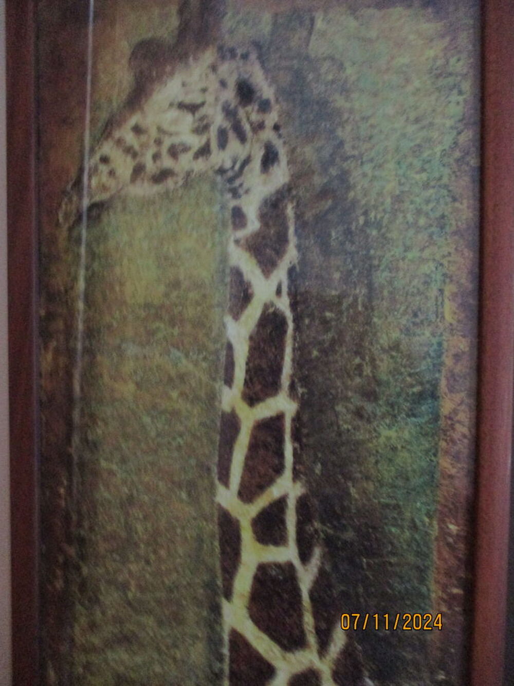 Tableaux z&egrave;bre et girafe Décoration