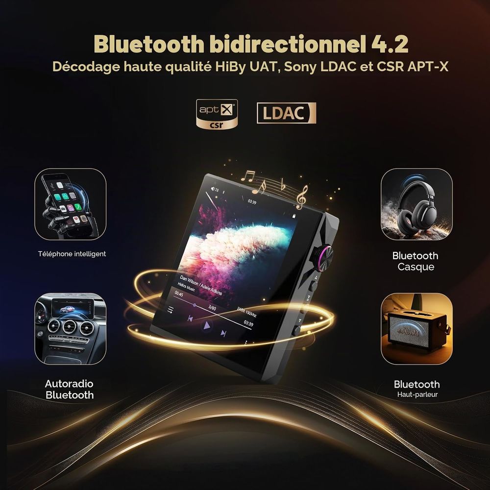  neuf cause double emploi baladeur Hi-Dizs 100 euros Audio et hifi