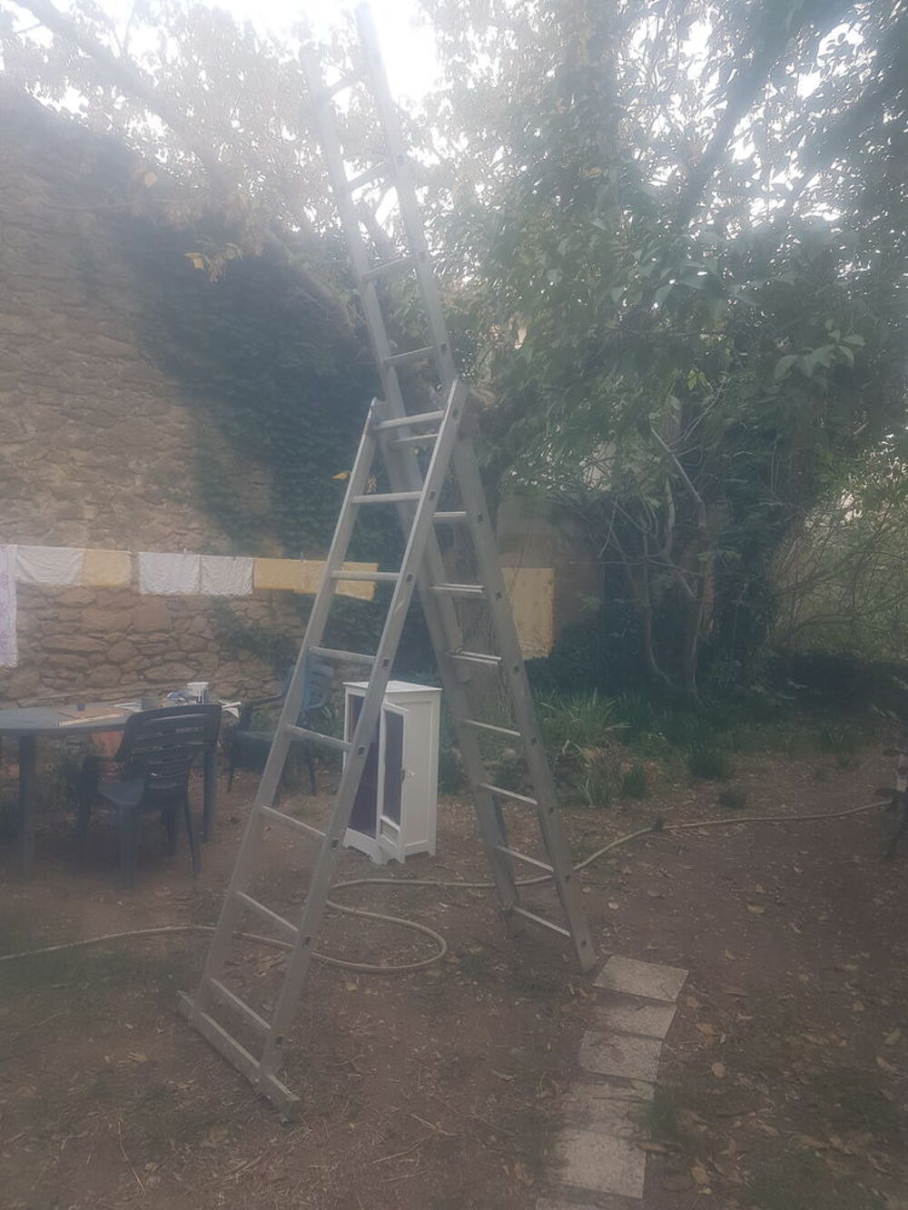 Achetez Une chelle Quasi Neuf Annonce Vente Lauris 84 WB170642264