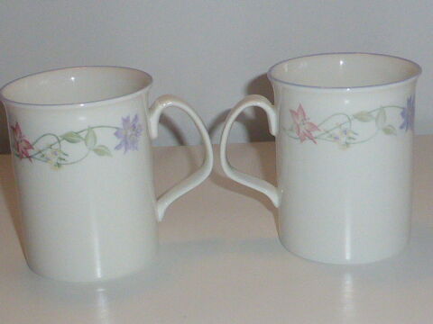 Lot de 2 mugs porcelaine Summer Carnival Royal Doulton 12 Rueil-Malmaison (92)