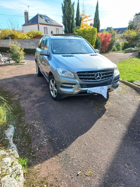 Mercedes Classe M ML 250 BlueTEC 4MATIC Edition 1 A 2012 occasion Nogent-sur-Vernisson 45290
